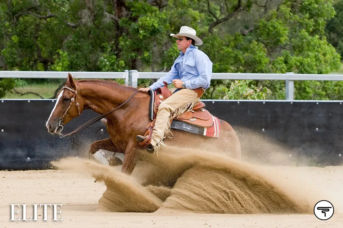 GIDGEE ELITE SUNGLASSES