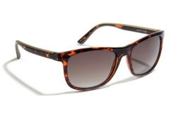 GIDGEE FENDER AMBER TORT SUNGLASSES