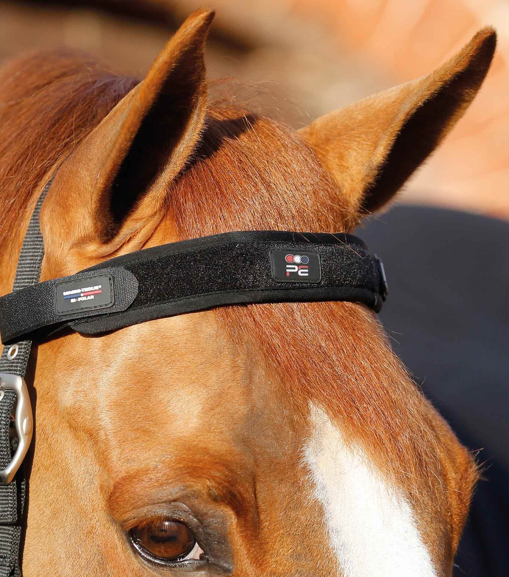 P.E MAGNI-TEQUE MAGNETIC BROWBAND