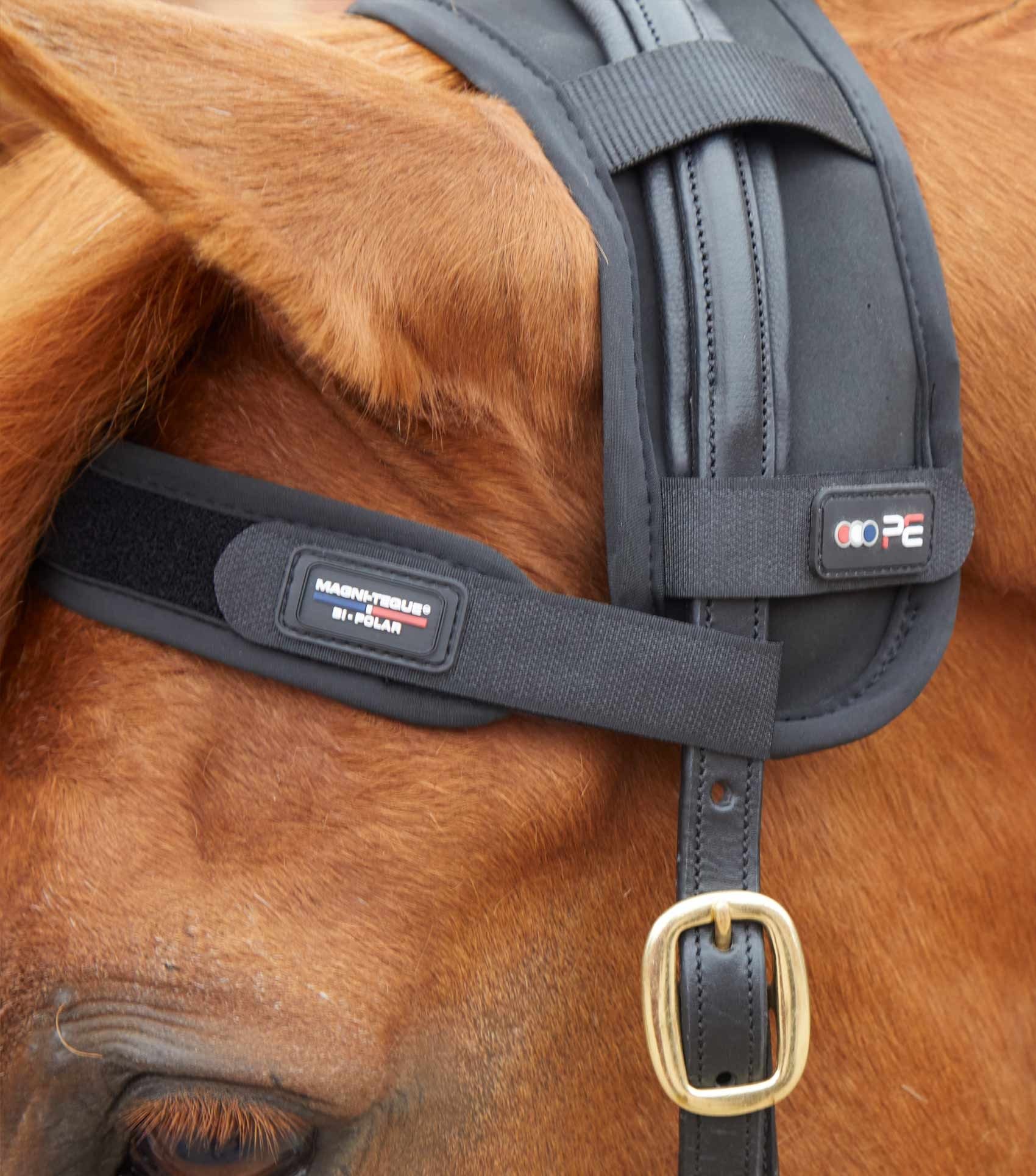 P.E MAGNI-TEQUE MAGNETIC BROWBAND
