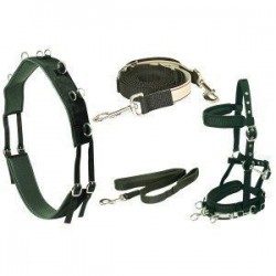 EQUI PRENE ANTI-GAL LUNGE STARTER KIT