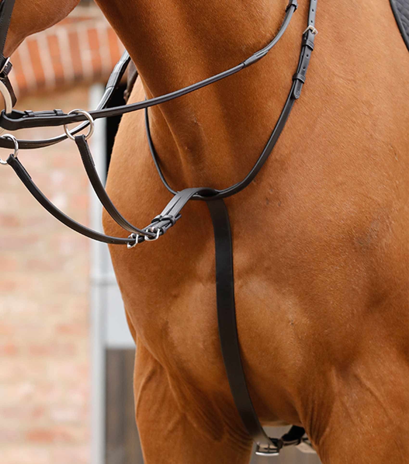 P.E SANTADI ADJUSTABLE RUNNING MARTINGALE