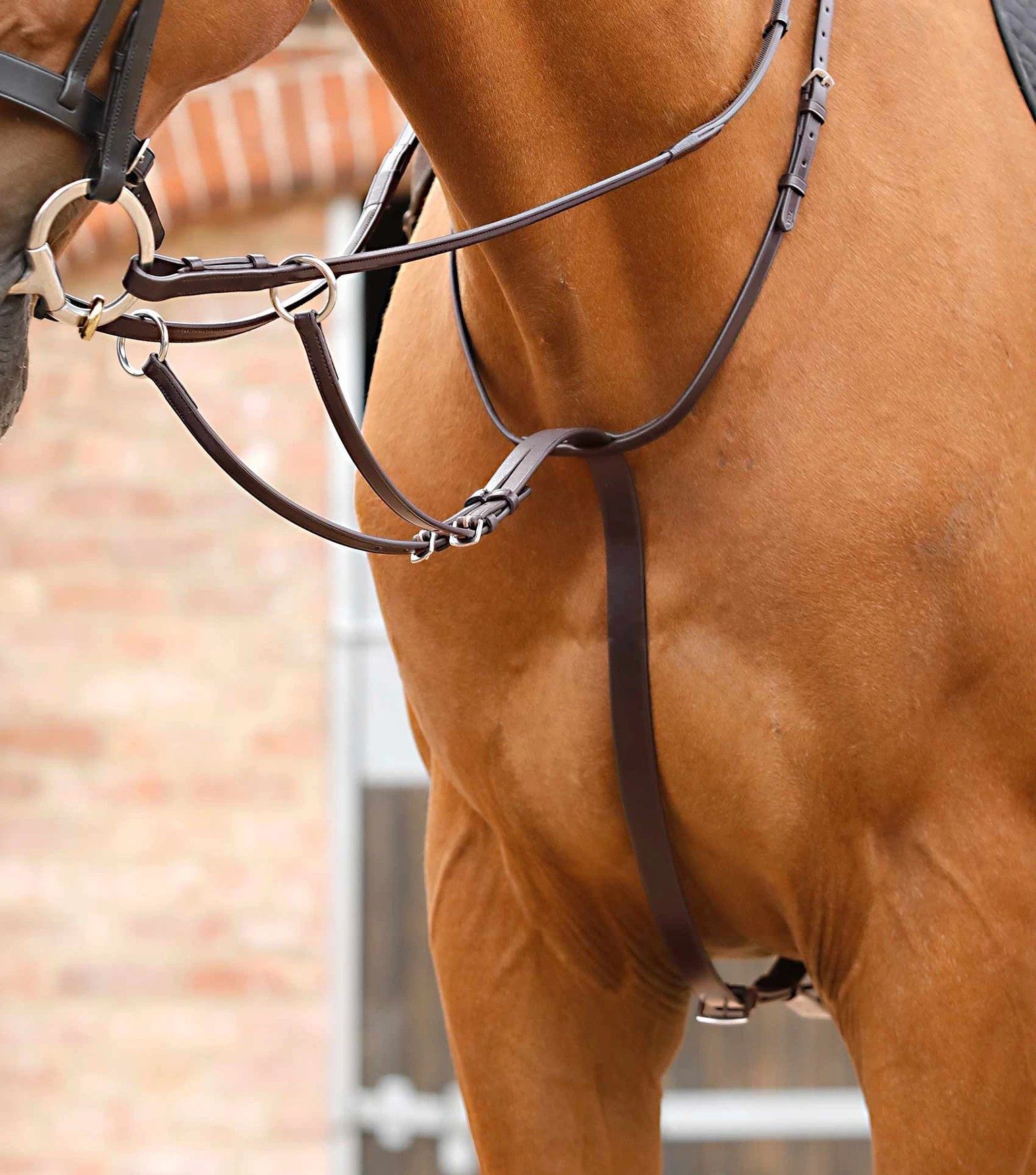 P.E SANTADI ADJUSTABLE RUNNING MARTINGALE