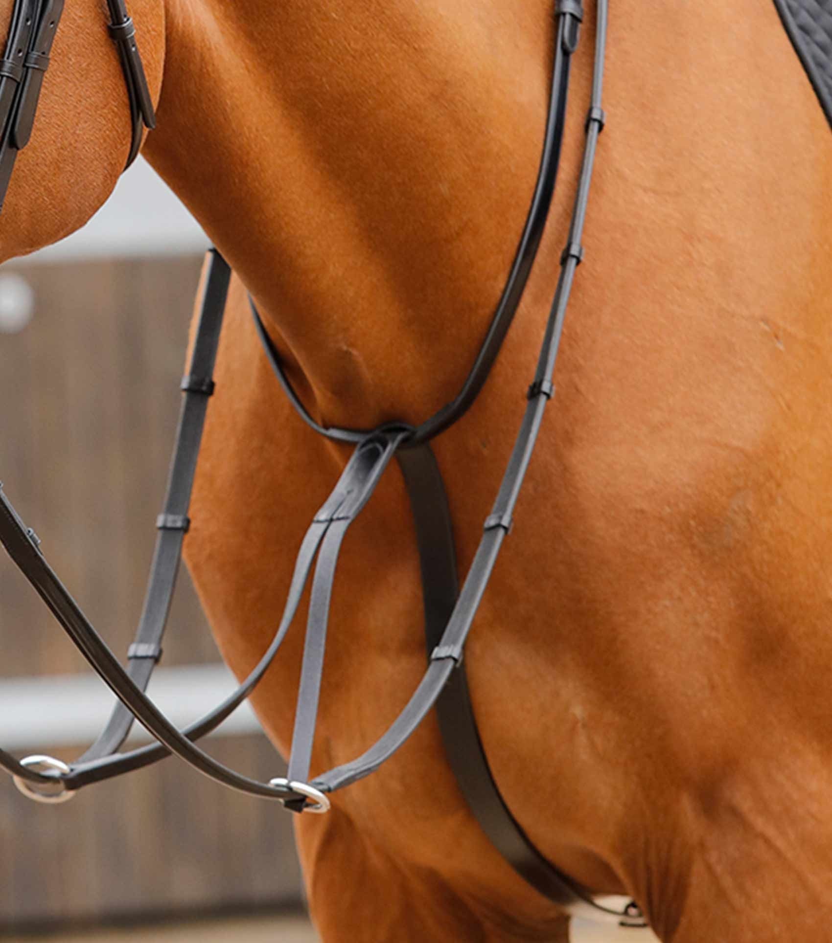 P.E FUSCALDO RUNNING MARTINGALE