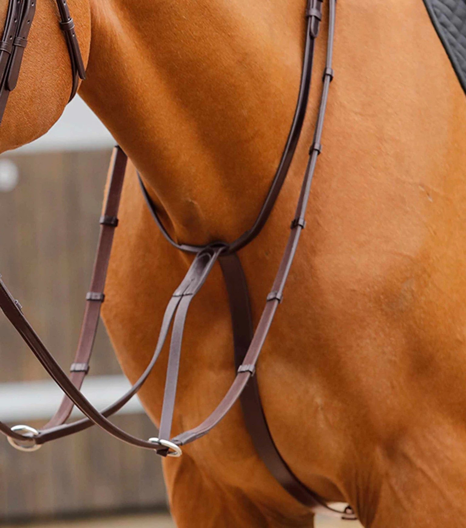 P.E FUSCALDO RUNNING MARTINGALE