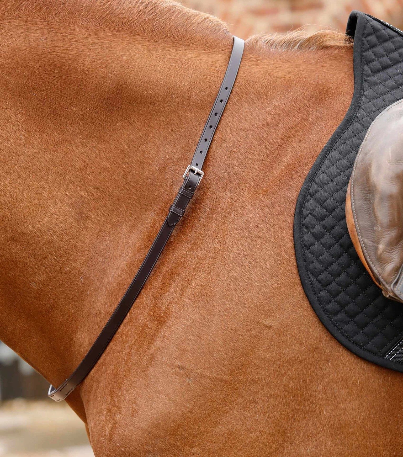 P.E ALTINO HORSE NECK STRAP