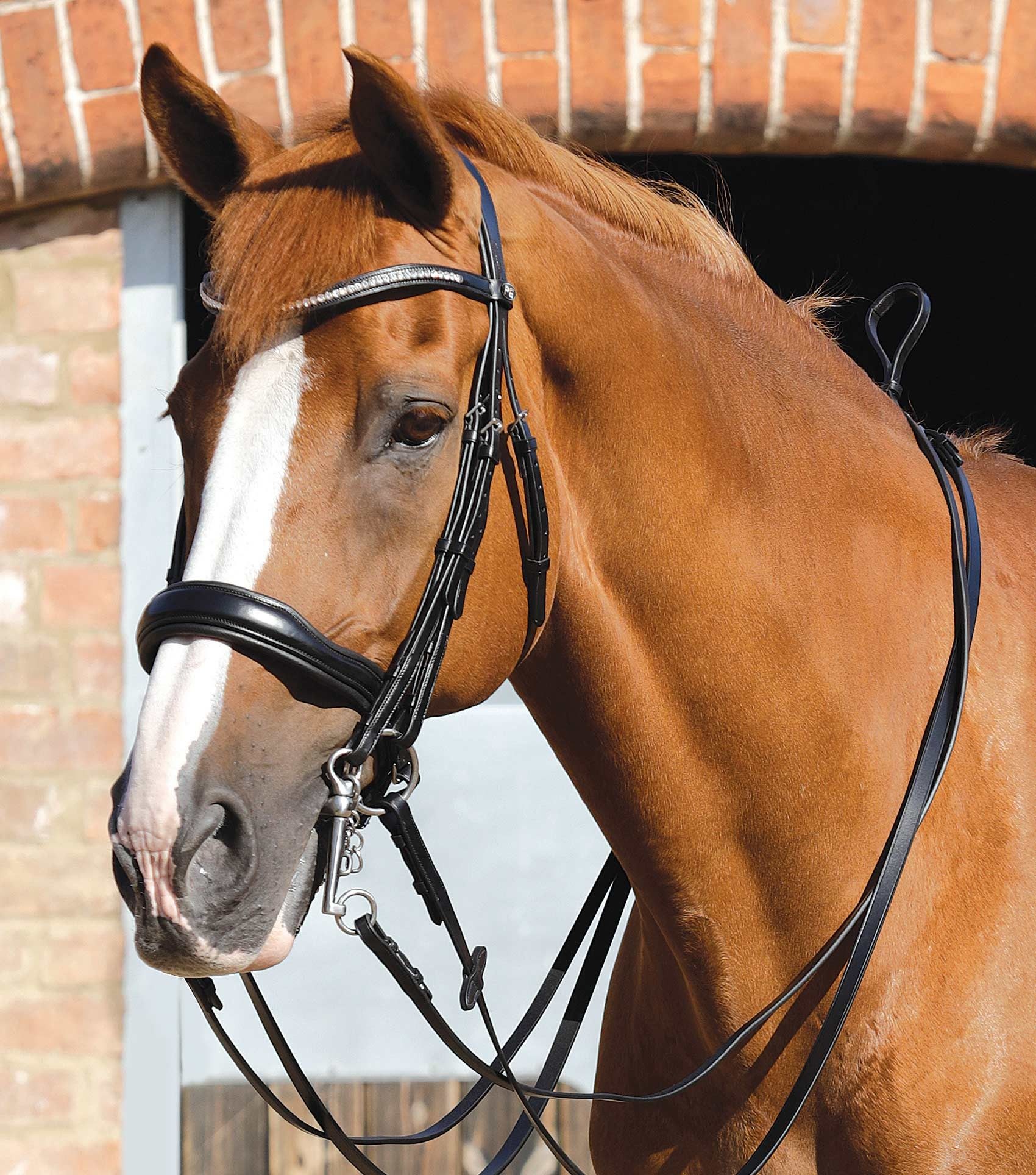 P.E ABRIANO ANATOMIC DOUBLE BRIDLE