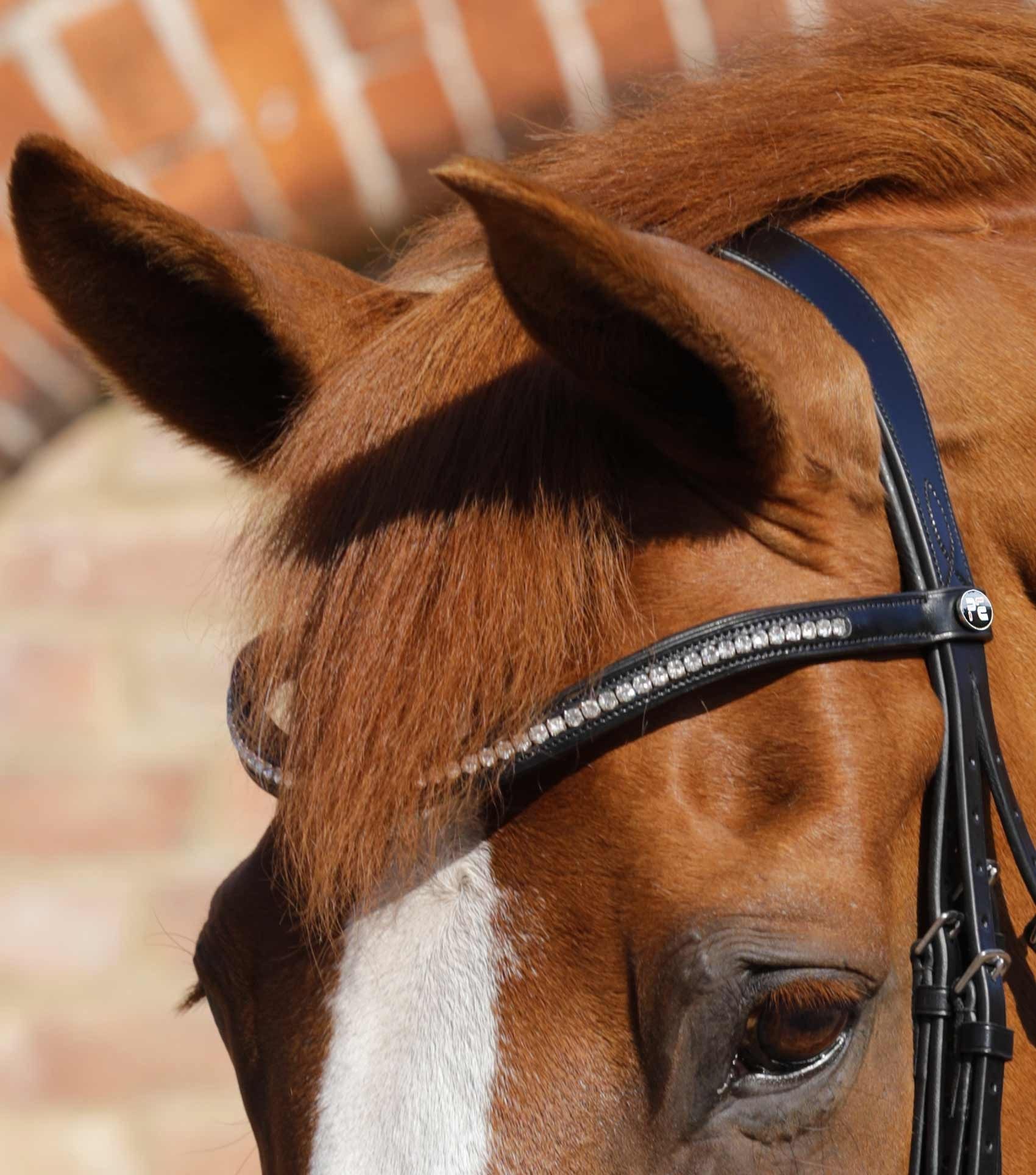 P.E ABRIANO ANATOMIC DOUBLE BRIDLE