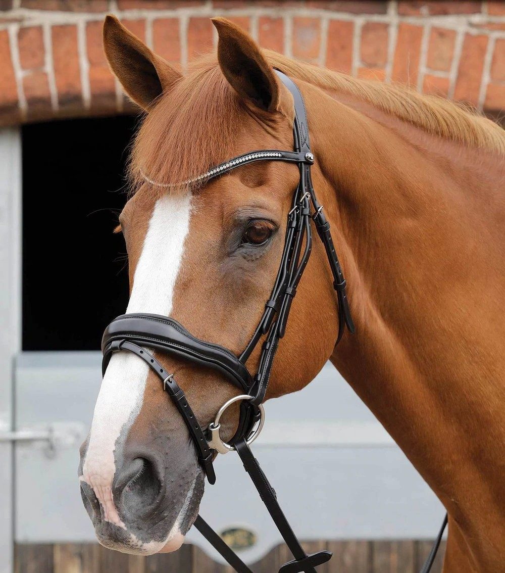 P.E STELLAZIO ANATOMIC SNAFFLE BRIDLE WITH FLASH