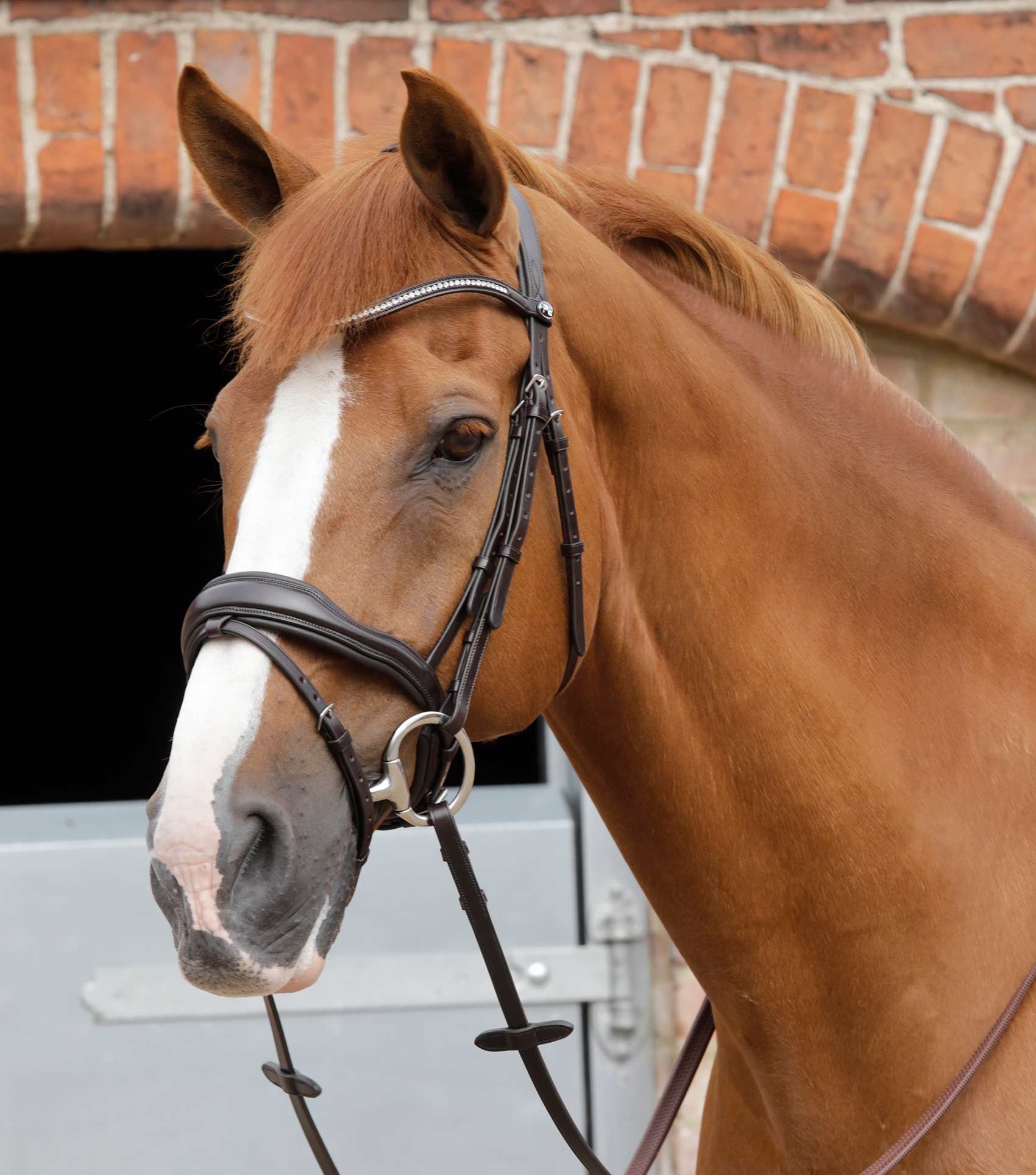 P.E STELLAZIO ANATOMIC SNAFFLE BRIDLE WITH FLASH