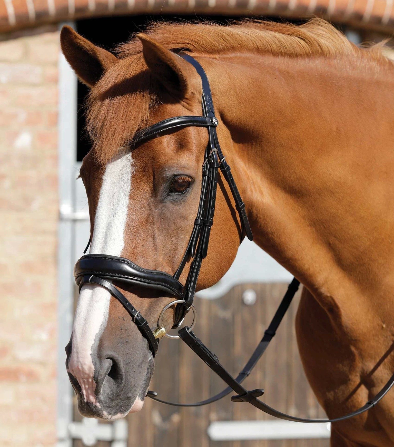 P.E RIZZO ANATOMIC SNAFFLE BRIDLE WITH FLASH