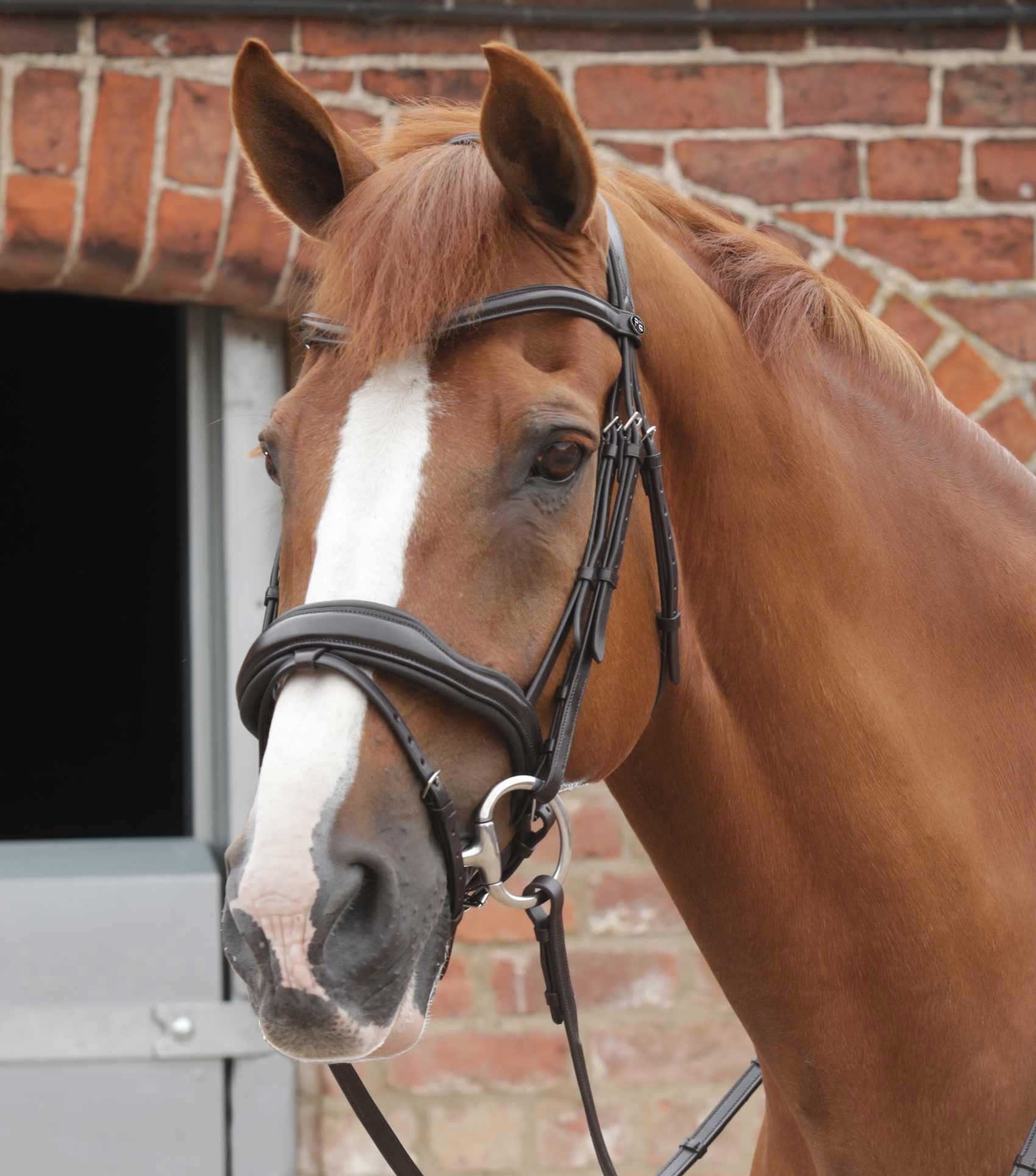 P.E FAVOLOSO ANATOMIC BRIDLE WITH CRANK NOSEBAND