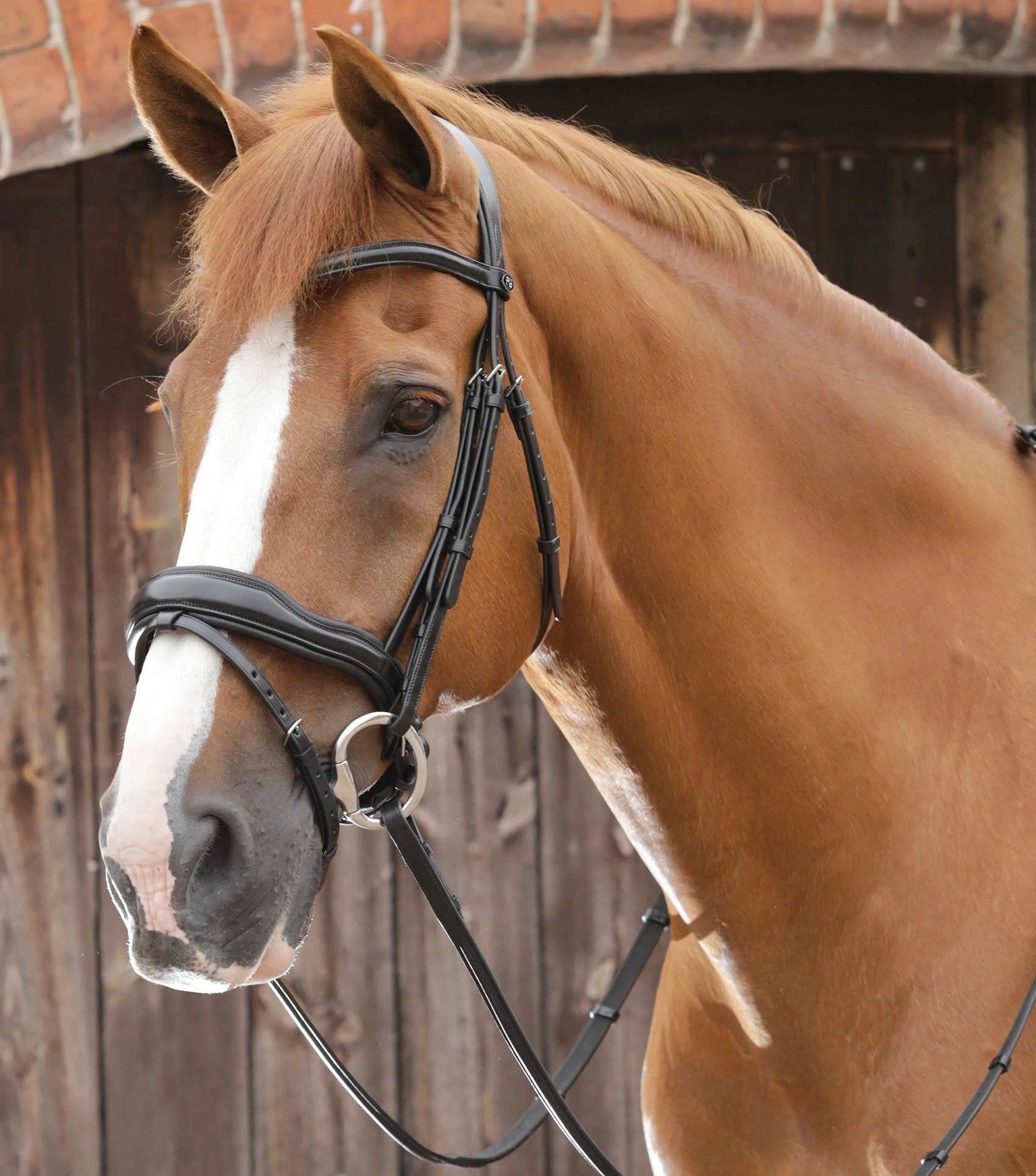 P.E FAVOLOSO ANATOMIC BRIDLE WITH CRANK NOSEBAND