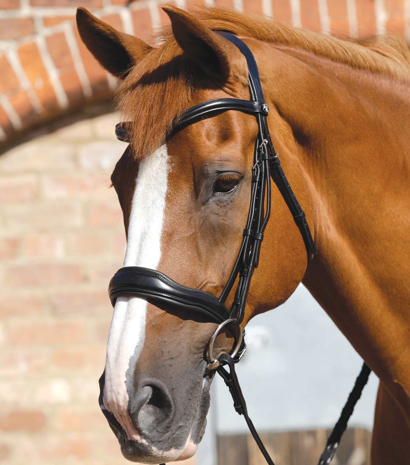 P.E VERDURA ANATOMIC SNAFFLE BRIDLE