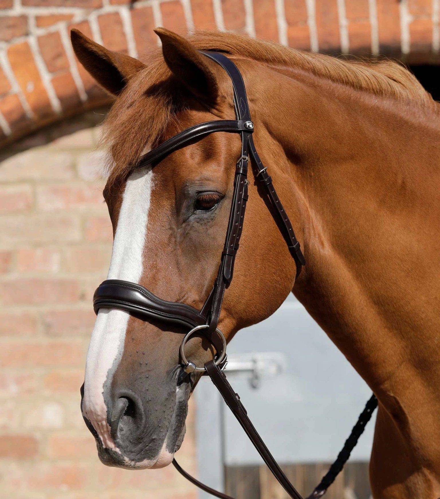 P.E VERDURA ANATOMIC SNAFFLE BRIDLE