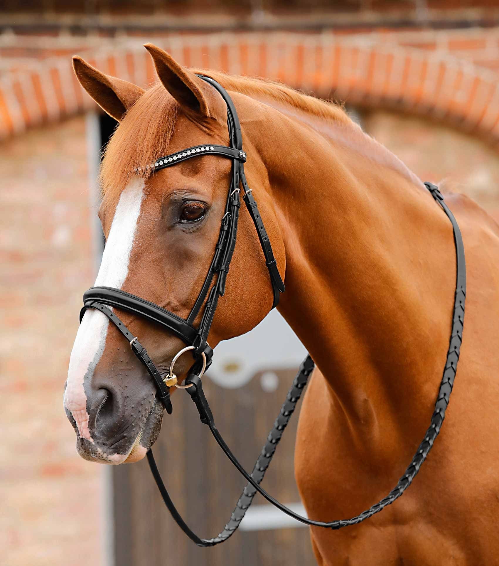 P.E BELLISSIMA CRANK BRIDLE WITH DIAMANTE BROWBAND