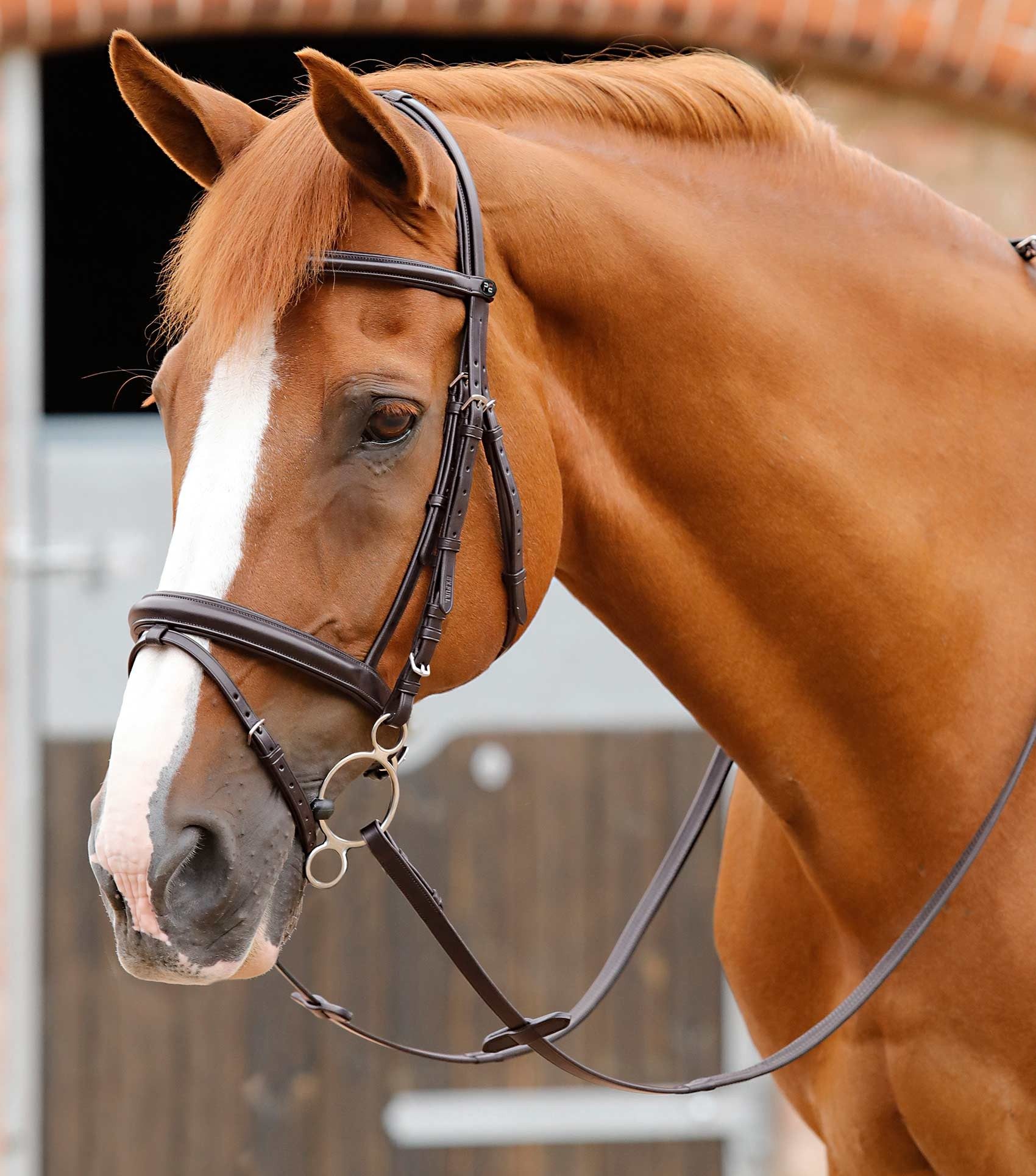 P.E DELIZIOSO SNAFFLE BRIDLE