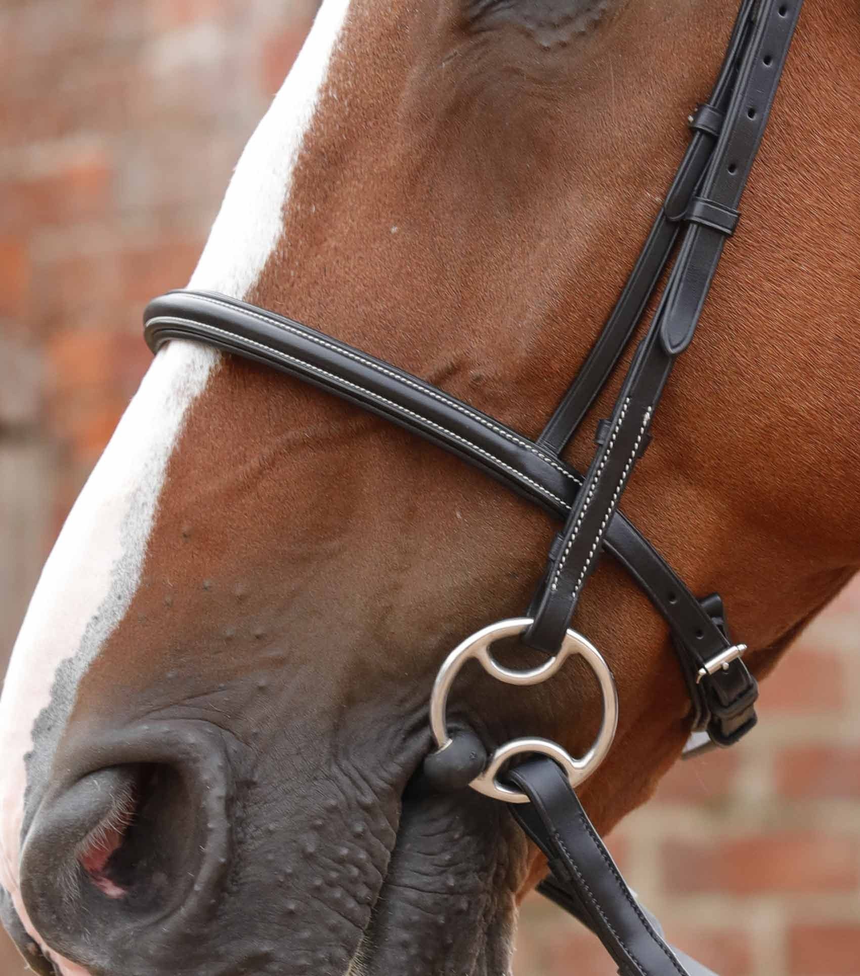 P.E MOSSIMO CAVERSSON BRIDLE