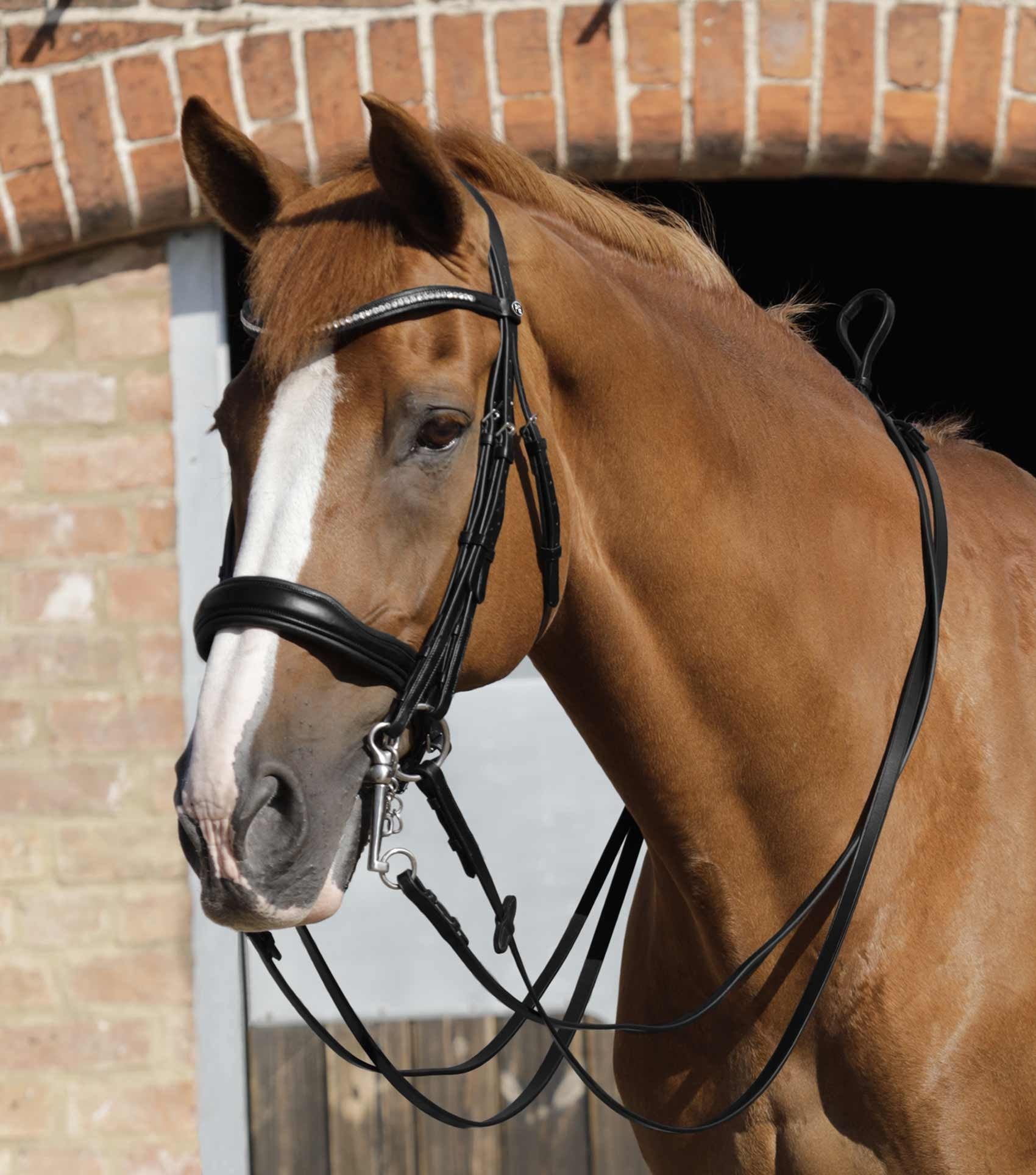 P.E LUIGI PLAIN LEATHER REINS