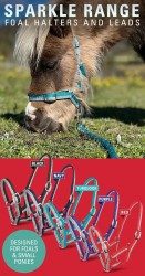 ZILCO SPARKLE FOAL/SMALL PONY HALTER