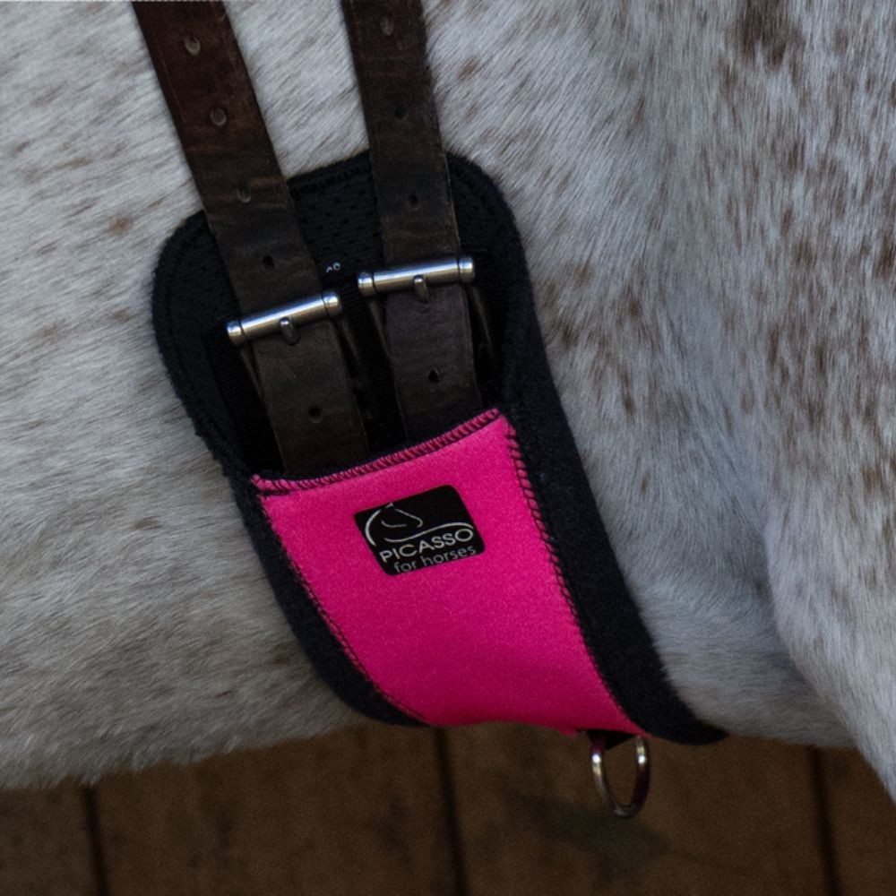 PICASSO KALAH STRAIGHT SHORT GIRTH