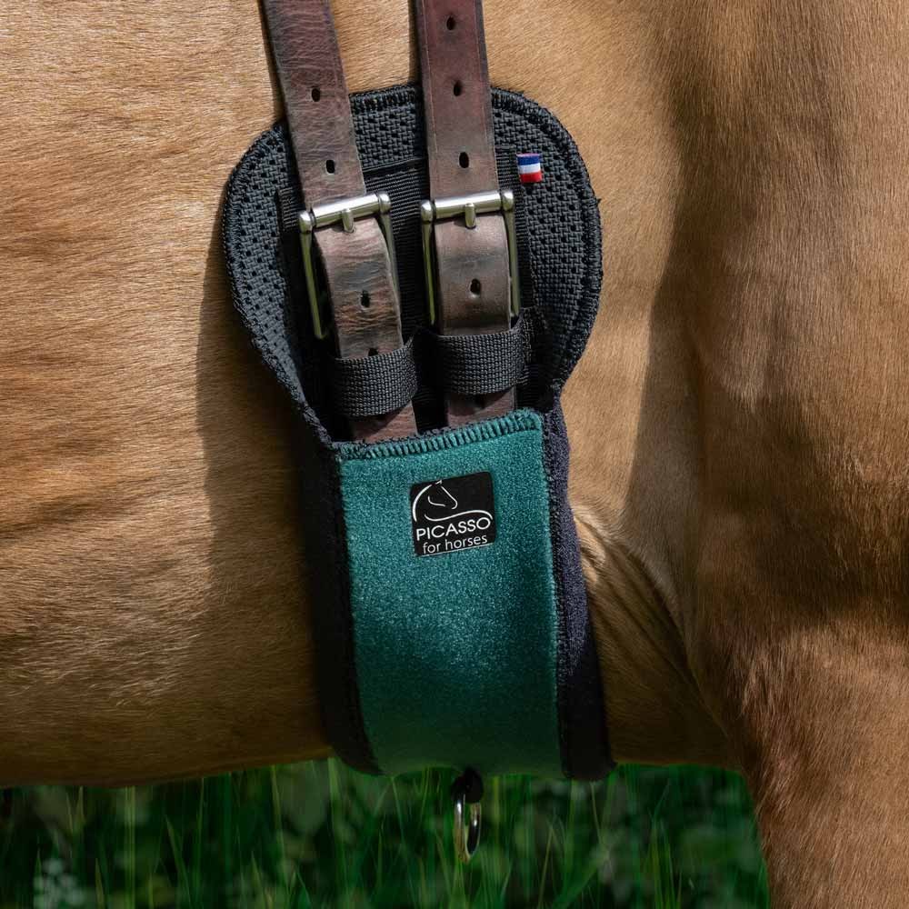 PICASSO KALAH STRAIGHT SHORT GIRTH