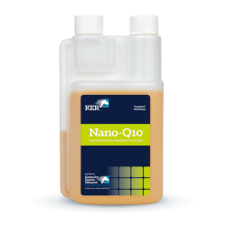 KER NANO Q 10