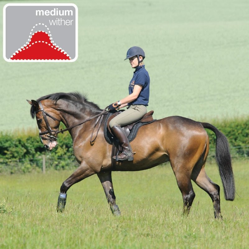 THOROWGOOD T4 STANDARD GP