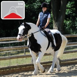 THOROWGOOD T4 COB