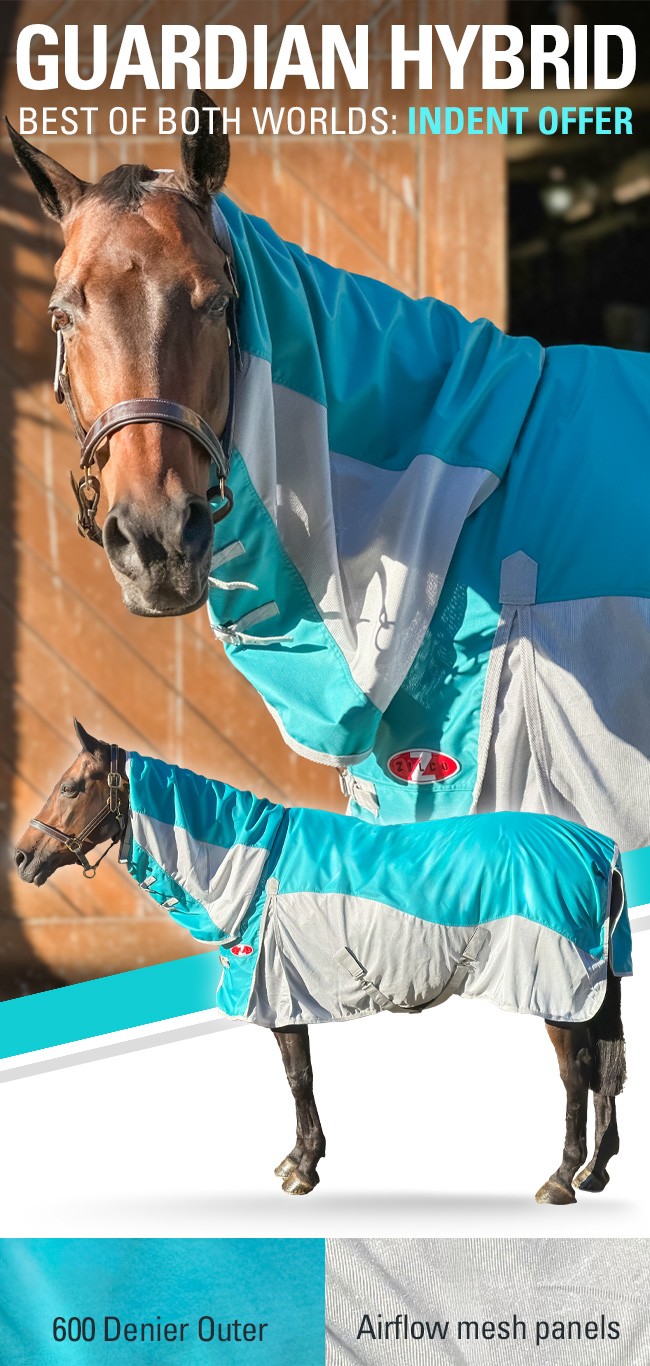 ZILCO GUARDIAN HYBRID COMBO