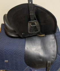 EQUIPE DRESSAGE