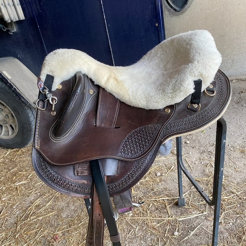 ARCHER EQUINE BUMNA