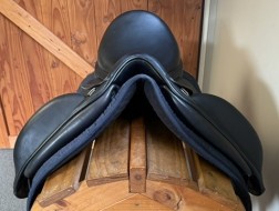 EQUIPE DRESSAGE 18"