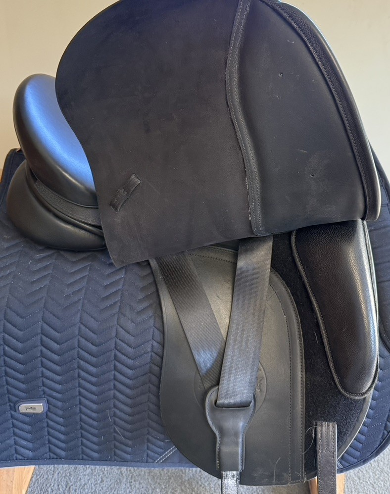 ADAM ELLIS SIGNATURE DRESSAGE 17.5"