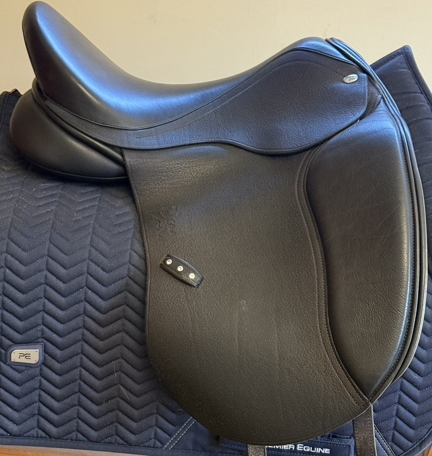 ADAM ELLIS SIGNATURE DRESSAGE 17.5"