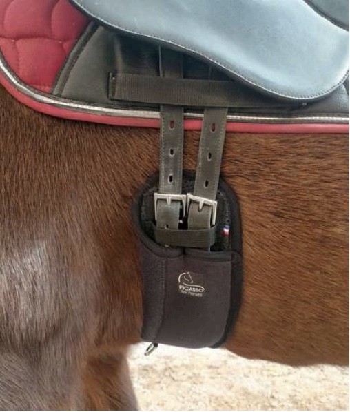 PICASSO HALF MOON SHORT GIRTH