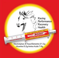 PRO DOSA BOOST TUBE 80ML