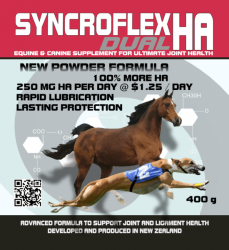 SYNCROFLEX DUAL HA POWDER