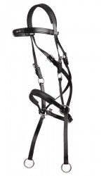 ZILCO BITLESS BRIDLE