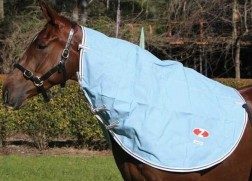 ZILCO HAMILTON NECK RUG