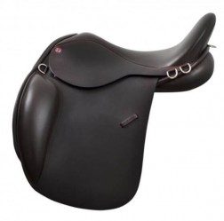 NSC ARABIAN SADDLE COMPANY SOLSTICE