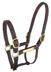 ZILCO EPSOM PN HALTER