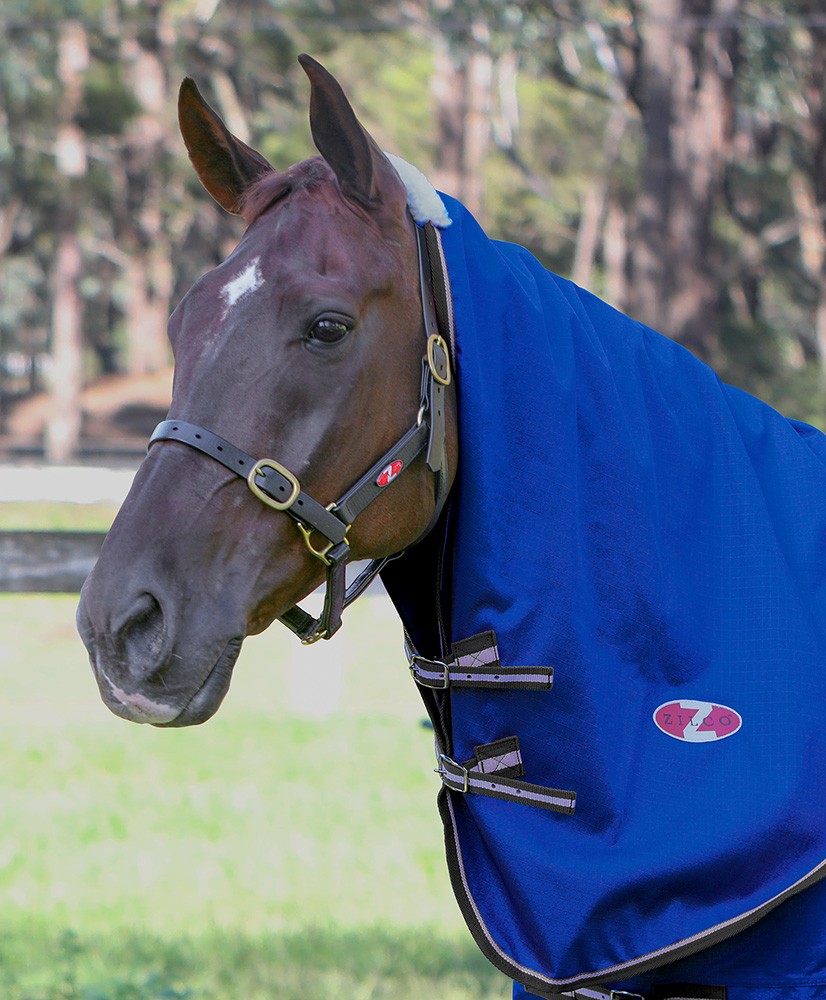 ZILCO GARRISON NECK RUG