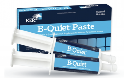 KER B-QUIET PASTE 30GM TUBE