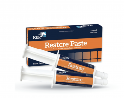 KER RESTORE PASTE 60GM TUBE