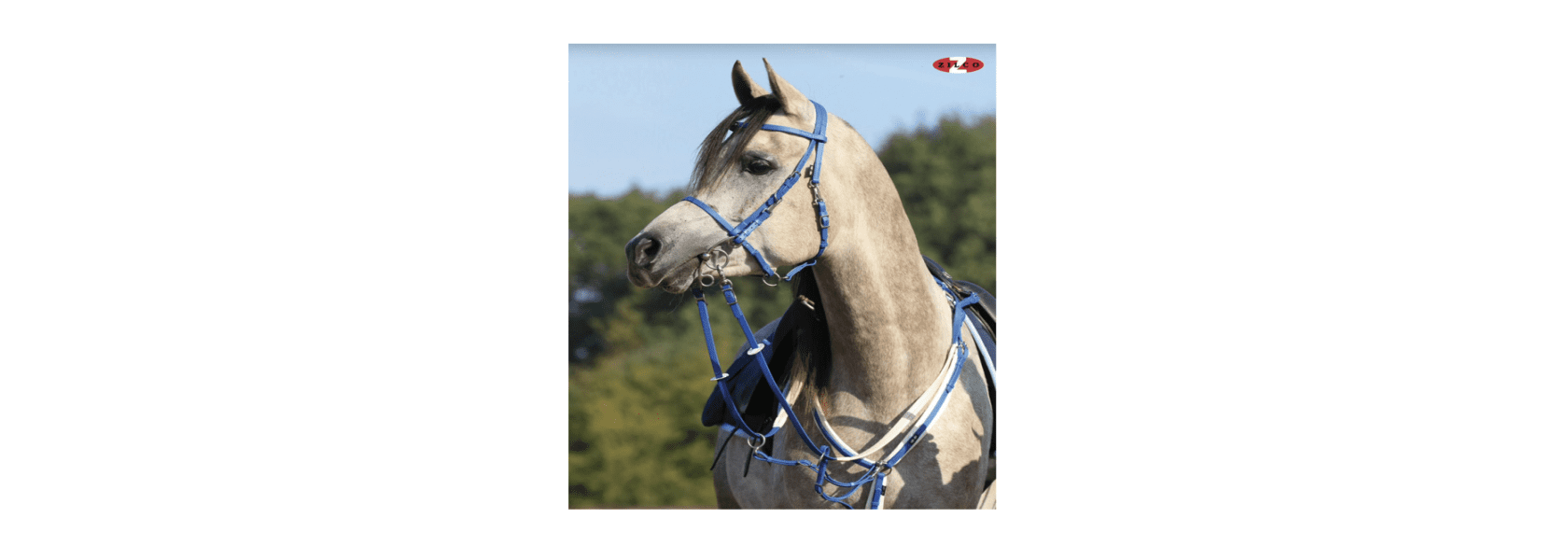 Equestrian Online stocks quality products from worldrenown suppliers